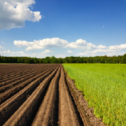 Agricultural Economics Colleges
