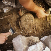 Archeology Colleges