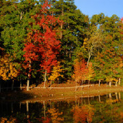 Colleges in Arkansas