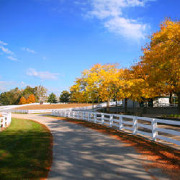 Colleges in Kentucky