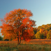 Colleges in Pennsylvania