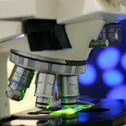 Developmental Biology and Embryology Colleges