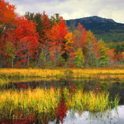 New Hampshire Colleges