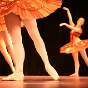 Visual and Performing Arts Colleges