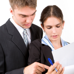 Management Analysts