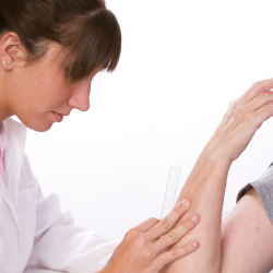 Occupational Therapists