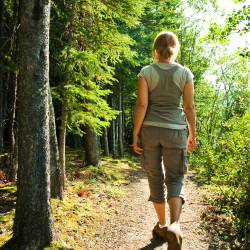 Forest and Conservation Technicians