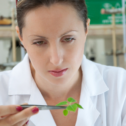 Conservation Scientists